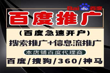 初创企业如何通过网站sem托管快速崛起
